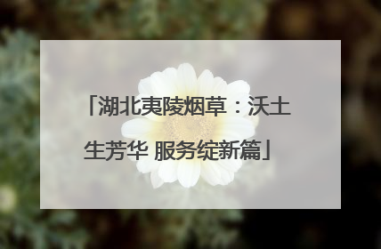 湖北夷陵烟草：沃土生芳华 服务绽新篇