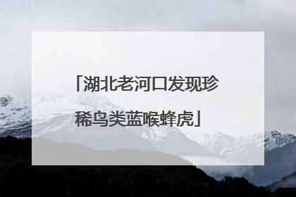 湖北老河口发现珍稀鸟类蓝喉蜂虎