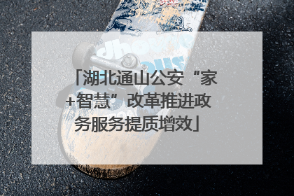 湖北通山公安“家+智慧”改革推进政务服务提质增效