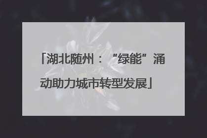 湖北随州：“绿能”涌动助力城市转型发展