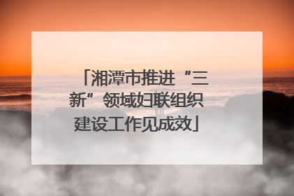 湘潭市推进“三新”领域妇联组织建设工作见成效