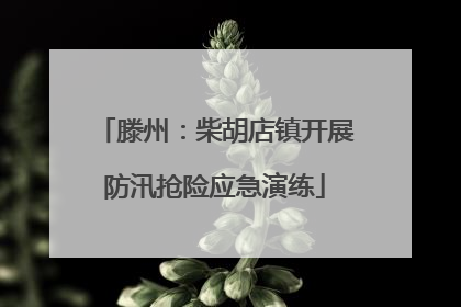 滕州：柴胡店镇开展防汛抢险应急演练
