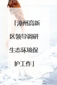 漳州高新区领导调研生态环境保护工作