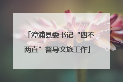漳浦县委书记“四不两直”督导文旅工作