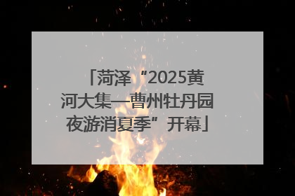 菏泽“2025黄河大集—曹州牡丹园夜游消夏季”开幕