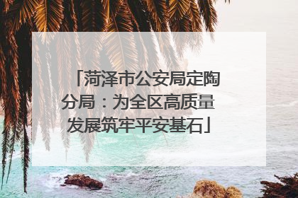 菏泽市公安局定陶分局：为全区高质量发展筑牢平安基石