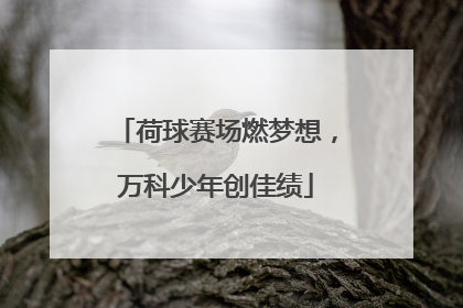 荷球赛场燃梦想，万科少年创佳绩