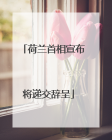 荷兰首相宣布将递交辞呈