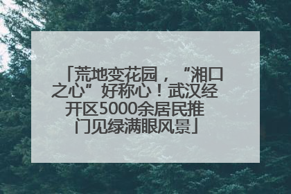 荒地变花园，“湘口之心”好称心！武汉经开区5000余居民推门见绿满眼风景