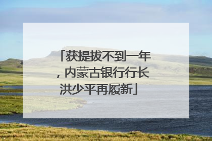 获提拔不到一年，内蒙古银行行长洪少平再履新