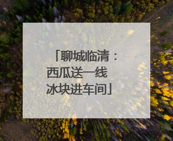聊城临清：西瓜送一线 冰块进车间