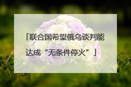 联合国希望俄乌谈判能达成“无条件停火”