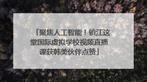 聚焦人工智能！镇江这堂国际虚拟学校视频直播课获韩美伙伴点赞