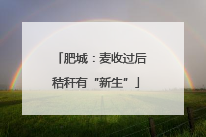 肥城：麦收过后秸秆有“新生”