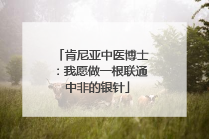 肯尼亚中医博士：我愿做一根联通中非的银针
