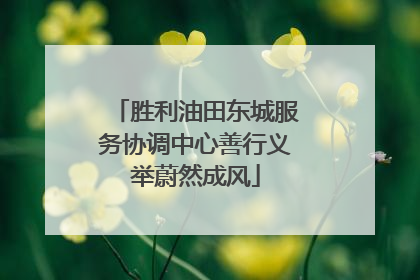 胜利油田东城服务协调中心善行义举蔚然成风