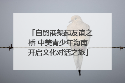 自贸港架起友谊之桥 中美青少年海南开启文化对话之旅