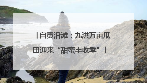 自贡沿滩：九洪万亩瓜田迎来“甜蜜丰收季”