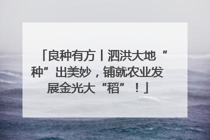 良种有方丨泗洪大地“种”出美妙，铺就农业发展金光大“稻”！