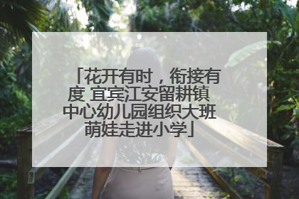 花开有时，衔接有度 宜宾江安留耕镇中心幼儿园组织大班萌娃走进小学