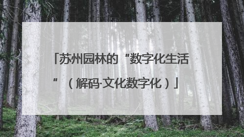 苏州园林的“数字化生活”（解码·文化数字化）