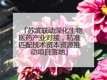 苏滨联动深化生物医药产业对接，精准匹配技术资本资源推动项目落地