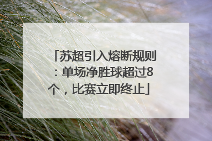 苏超引入熔断规则：单场净胜球超过8个，比赛立即终止