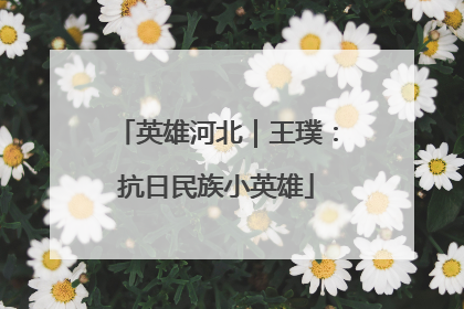 英雄河北｜王璞：抗日民族小英雄