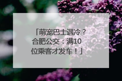 萌宠巴士遇冷？合肥公交：满10位乘客才发车！
