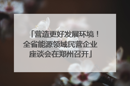 营造更好发展环境！全省能源领域民营企业座谈会在郑州召开
