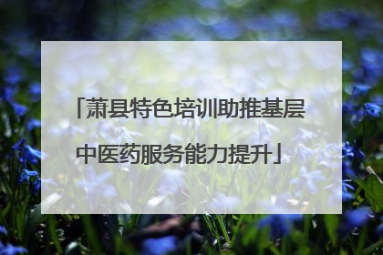 萧县特色培训助推基层中医药服务能力提升