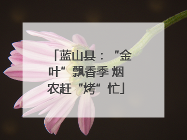 蓝山县：“金叶”飘香季 烟农赶“烤”忙