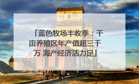 蓝色牧场丰收季：千亩养殖区年产值超三千万 海产经济活力足