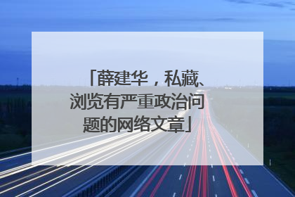 薛建华，私藏、浏览有严重政治问题的网络文章