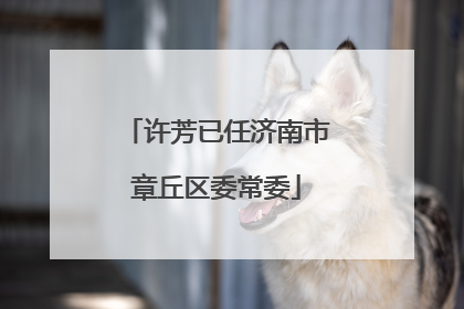 许芳已任济南市章丘区委常委