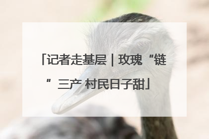记者走基层｜玫瑰“链”三产 村民日子甜