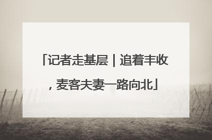 记者走基层｜追着丰收，麦客夫妻一路向北