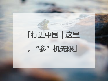 行进中国｜这里，“参”机无限