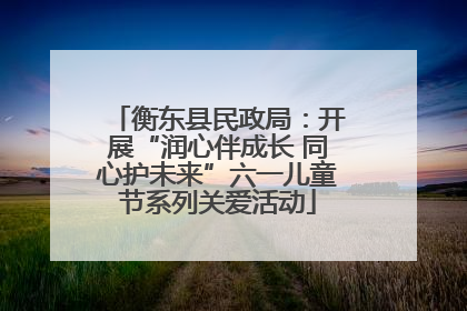 衡东县民政局：开展“润心伴成长 同心护未来”六一儿童节系列关爱活动