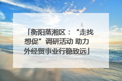 衡阳蒸湘区：“走找想促”调研活动 助力外经贸事业行稳致远