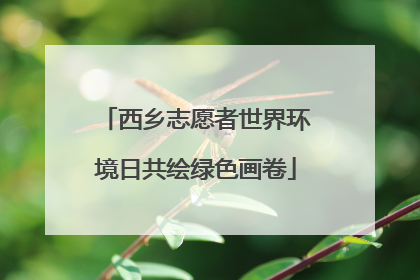西乡志愿者世界环境日共绘绿色画卷
