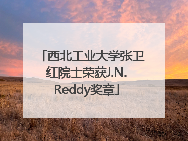 西北工业大学张卫红院士荣获J.N.Reddy奖章