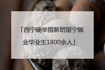 西宁硬举措新增留宁就业毕业生1800余人