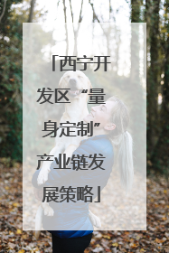 西宁开发区“量身定制”产业链发展策略
