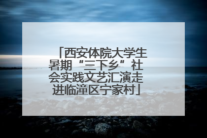 西安体院大学生暑期“三下乡”社会实践文艺汇演走进临潼区宁家村
