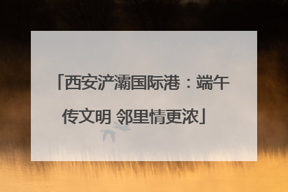 西安浐灞国际港：端午传文明 邻里情更浓