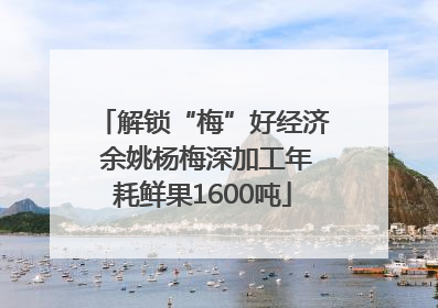 解锁“梅”好经济 余姚杨梅深加工年耗鲜果1600吨