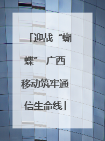 迎战“蝴蝶” 广西移动筑牢通信生命线