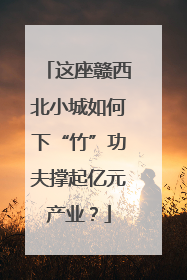 这座赣西北小城如何下“竹”功夫撑起亿元产业？