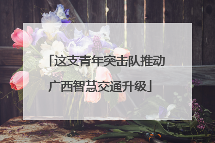 这支青年突击队推动广西智慧交通升级
